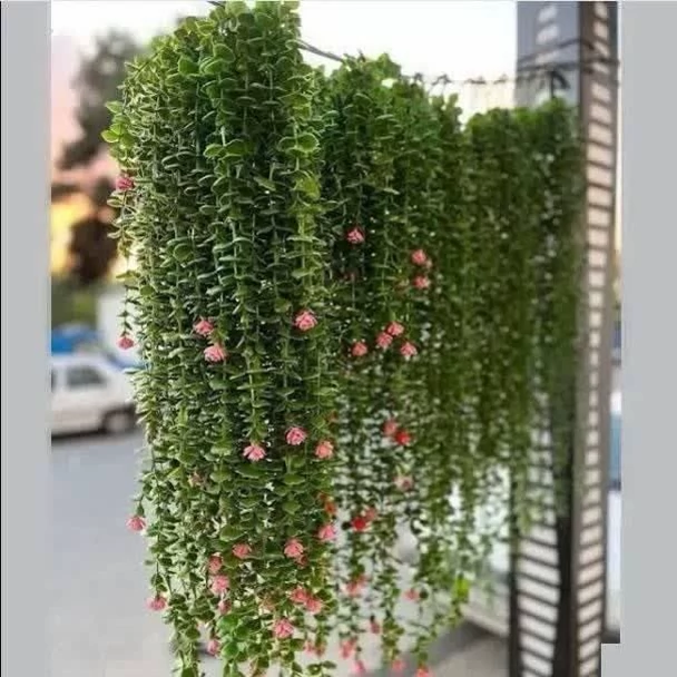 آویز شمشاد گلدار