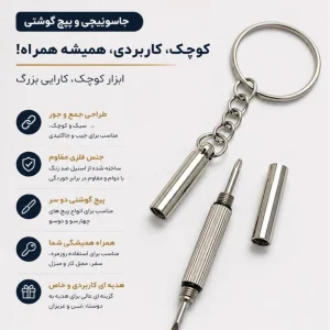 پیچ‌گوشتی جاسوئیچی دوکاره